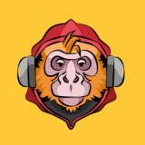 Alex: The Macaco